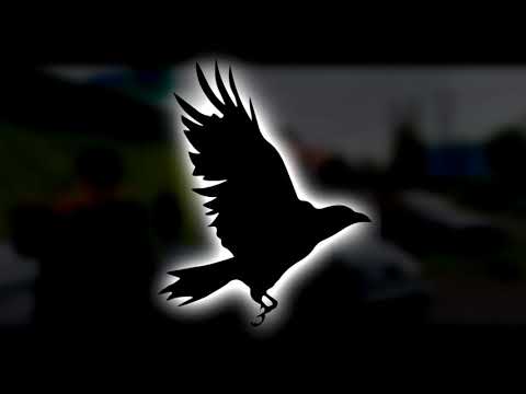 Noras x WK - KRUK (Official Audio) (Prod.WK)