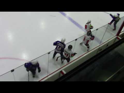 HC Vipers F WHITE – Narva PSK F08  1:12 (0:6 ; 1:6)  06.03.2018