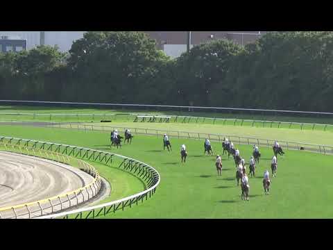 2019 オークス 優駿牝馬 ラヴズオンリーユー THE JAPANESE OAKS Loves Only You