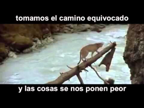 🔴 Grabaciones de un Asesinato: Crímenes Reales Captados por las Cámaras | Maratón en DIRECTO
