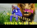 Juma MARICO Song WALISEMA SANA Officially Video
