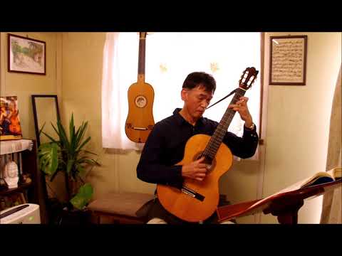 N.Coste (1805-1883) / Andante  Re mineur Lecon 24