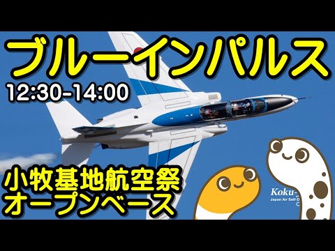 小牧基地航空祭・オープンベース ブルーインパルス ライブ配信アーカイブ 12 のサムネイル