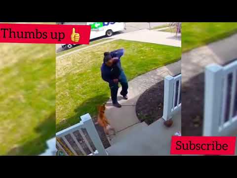 Black People Running From Dangerous Dogs! #Shorts