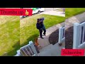 Black People Running From Dangerous Dogs Shorts