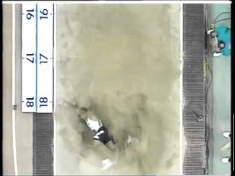 Brian Wellman Triple Jump 1995 Indoor Worlds Championships 17.72m