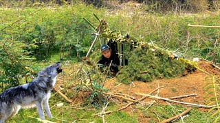 Build a warm shelter to protect against wolf attacks