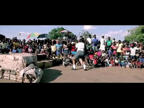 Jah Prayzah - Eriza (Official Video)