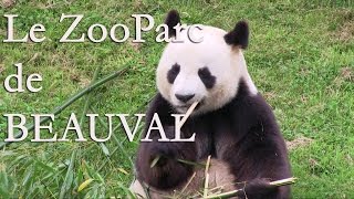 preview picture of video 'Zoo Parc de Beauval : trois étoiles au Guide Vert'