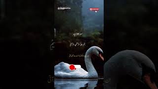 Download lagu Surah Al-Anbiya | Quran Recitation with Urdu Translation mp3 Download lagu Surah Al-Anbiya | Quran Recitation with Urdu Translation mp3