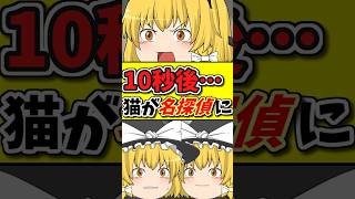 オマエは誰だ！？１０秒後、猫ちゃんが名探偵になる！？ #shorts #ゆっくり茶番劇 #ゆっくり茶番