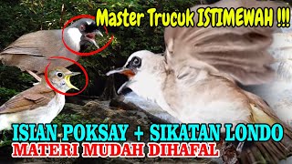 Download lagu #istimewa master Trucuk Isian #sikatanlondo dan #cendet pasti hasilnya memuaskan mp3 Download lagu #istimewa master Trucuk Isian #sikatanlondo dan #cendet pasti hasilnya memuaskan mp3