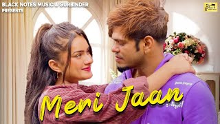 Meri Jaan ( Official Video ) Sucha Yaar  Akash Jan