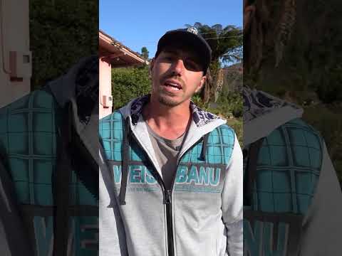 PRODUÇÃO DE MANDIOQUINHA - PARTE 2!