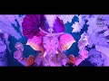 Ganapati Bappa Morya Ganesh Utsav Nashik Exploring Ganapati Bappa Status Videos Download