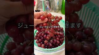 🇺🇸グレープジュースを作りました🍇#アメリカ生活 #アメリカ子育て #ぶどう #グレープ