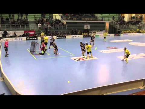 Maalikooste SSV-Westend Indians 20.12.2013 (Salibandyliiga)