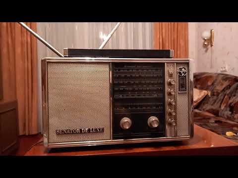 Sanyo Senator de lux