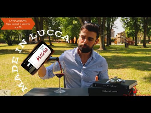 IL VINO DEI SUPER EROI – #LaRecensione -1968 DOC Colline Lucchesi