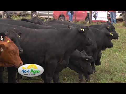 PROGRAMA RIO 4 AGRO  JUEVES 20 12 BLOQUE 1