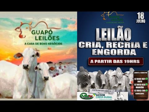 LEILÃO - GUAPÓ LEILÕES  18/07/2025