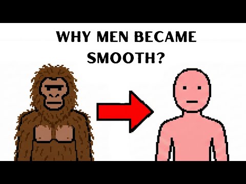 Why Humans Lost Their Fur ?