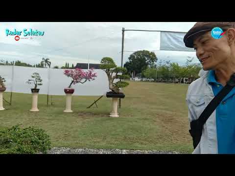 Pameran Bonsai Dalam Acara HUT 73 Kabupaten Bengkulu Selatan