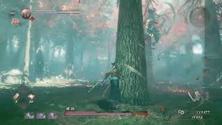 【仁王2】初見プレイ。お腹すくまで