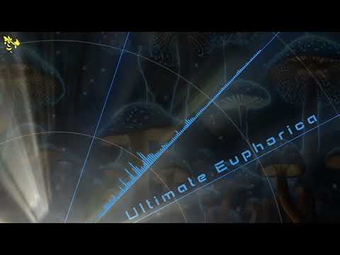 Euphoric August 2023 Mix 🎧 Ultimate Euphorica