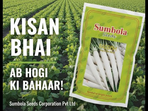Don't Plant Without This! The Ultimate Radish Seed for Your Farm