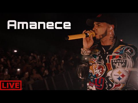 Anuel AA - Amanece [Live Performance]