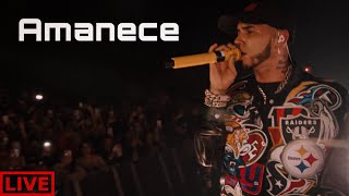 Anuel AA - Amanece [Live Performance]