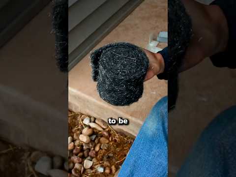 How to Prevent MICE 🐁