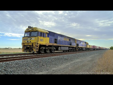 1PM5 Pacific National Container Freight Train (10/1/2019) - PoathTV Australian Railways
