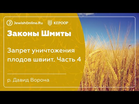 Законы шмиты. Урок 15: Запрет уничтожения плодов швиит