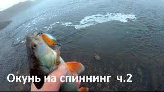 Ловля окуня на кренки осенью