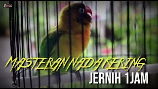 Download lagu MASTERAN LOVEBIRD NADA KERING mp3