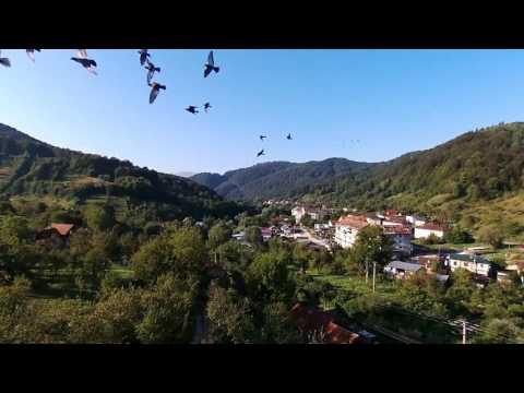 bebop drone romania
