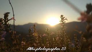 Download lagu flowers can dance !! amazing nature/beautiful sunrise & the flowers || nature || #timelapse #nature mp3 Download lagu flowers can dance !! amazing nature/beautiful sunrise & the flowers || nature || #timelapse #nature mp3