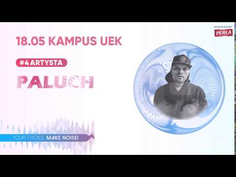 #4 Gwiazda Juwenalia UEK 2017 - Paluch