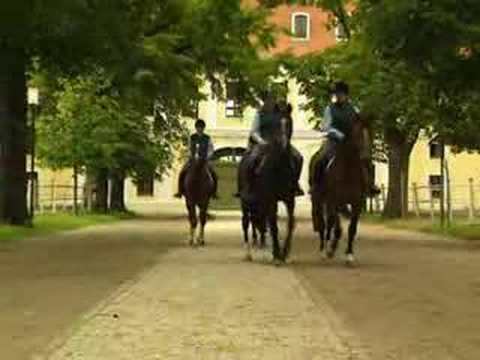 "einfach sagenhaft" - Graditz