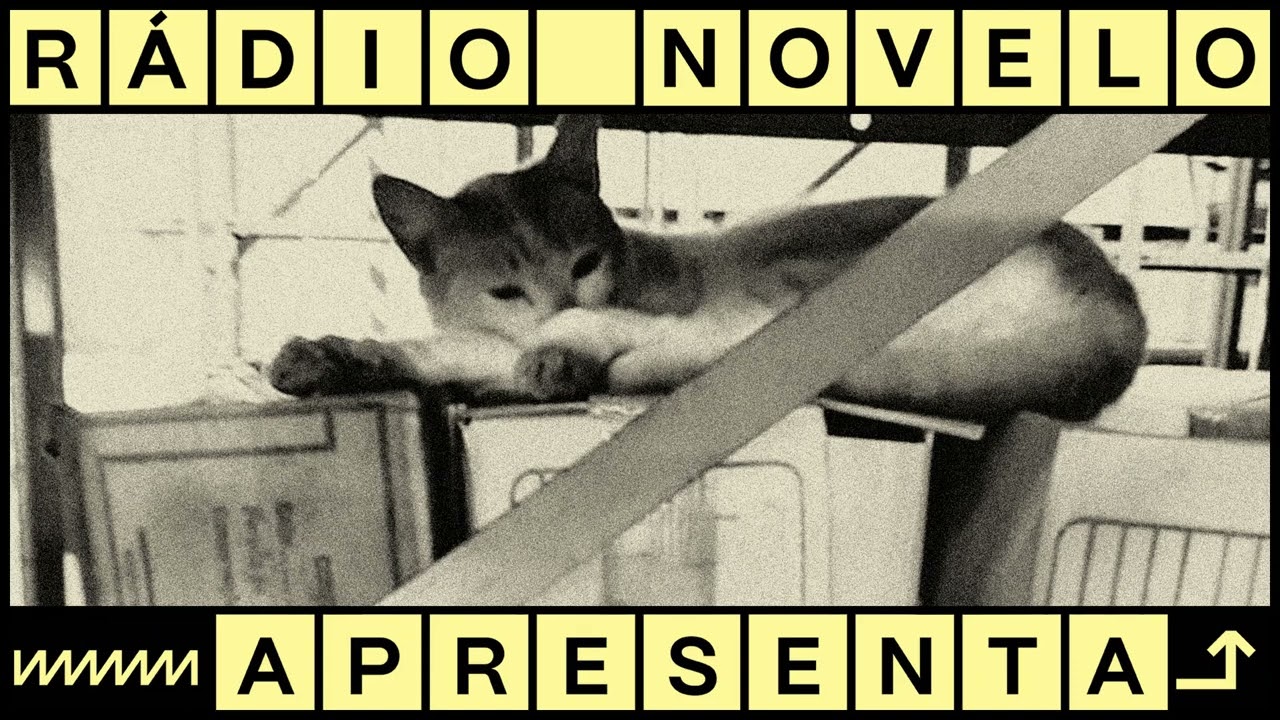 Vizinhos incômodos | Podcast Rádio Novelo Apresenta