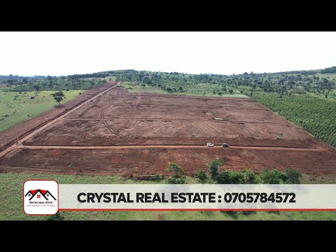 5 MILLION NKOZI TOWN ESTATE WITH A LAND TITLE NEAR NKOZI UNIVERSITY SUITABLE FOR HOSTELS AND HOTELS