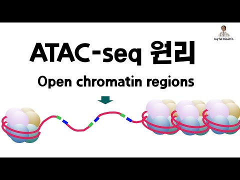 ATAC-seq 원리