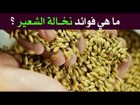 ما هي فوائد نخالة الشعير ؟