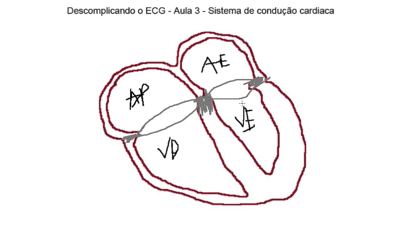 Descomplicando o ECG - Aula 3 - Sistema de condução cardiaca