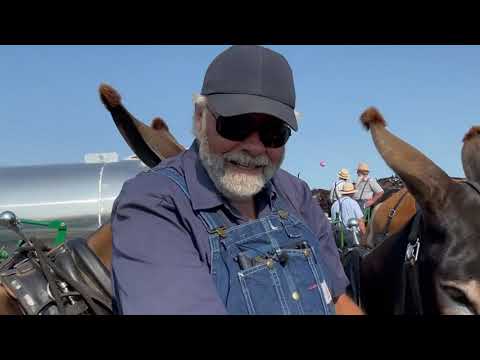 Bob Erickson and His Donkeys at Horse Progress Days 2021 [and HPD demonstrations]
