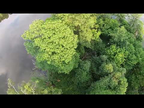 Wakacyjne Podlasie odc  2 - Puszcza Knyszyńska - jezioro Komosa