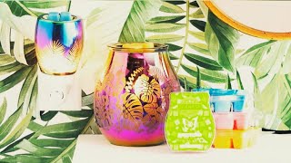 Scentsy's Summer Collection 2020