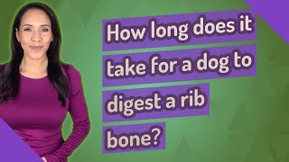 How long does it take for a dog to digest a rib bone